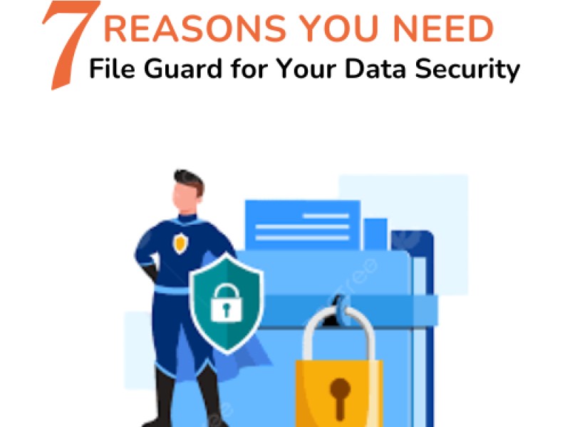File Guard for data security illustration