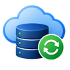 Data Backup